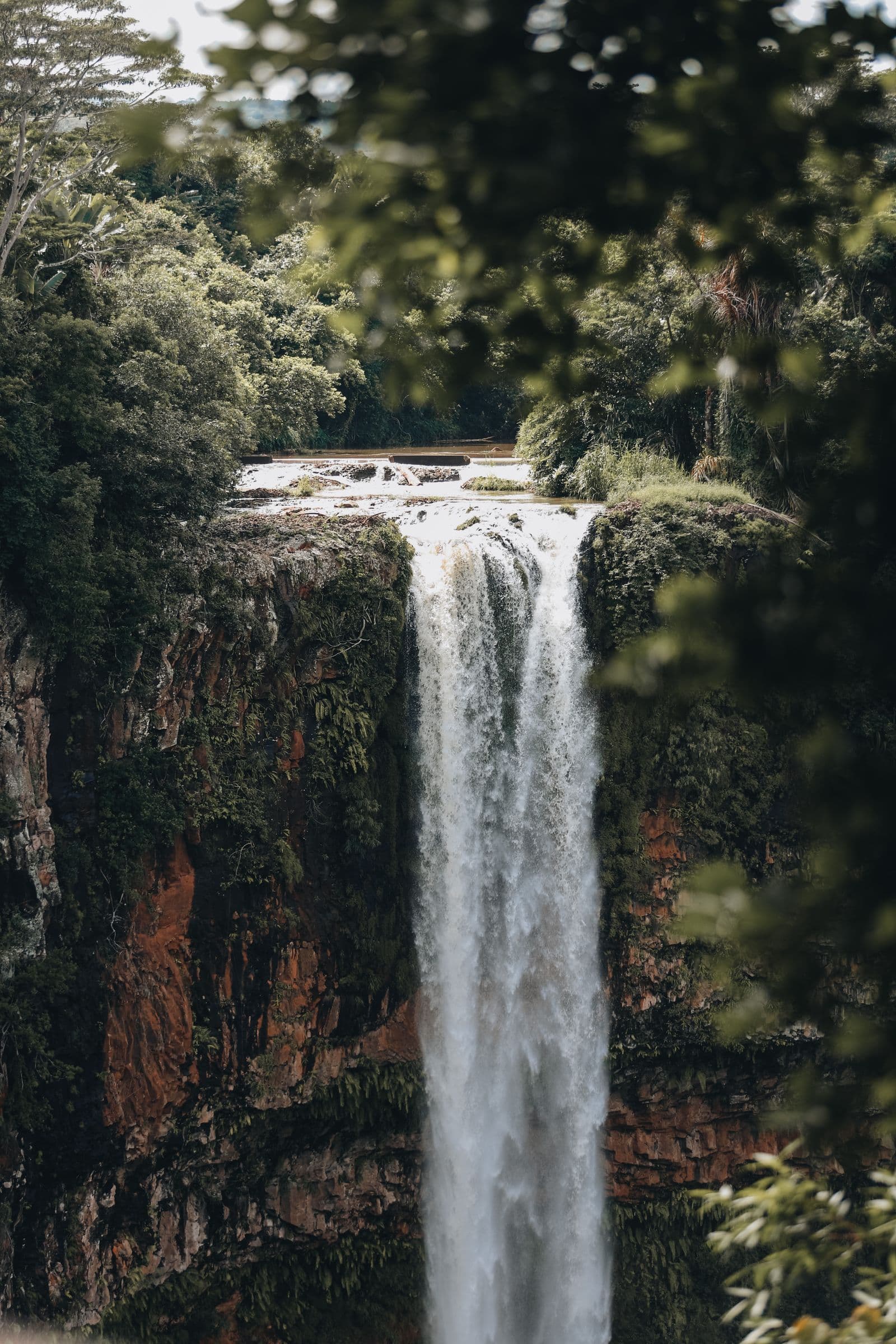 Cascade dans les gorges de Rivière Noire, près du Morne